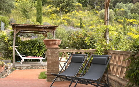 Villa Monticello: Pianta, Mobilia, Comunita 'Impianto, Panchina, Mobili Da Esterno, Paesaggio Naturale, Legna, Erba, Shade, Albero