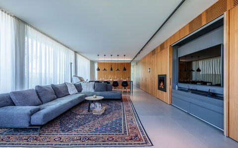 Villa Dalia Venezia: Costruzione, Divano, Pavimentazione, Pavimento, Finestra, Soggiorno, Comfort, Legna, Parete, Divano Letto