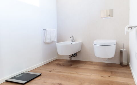 Villa Dalia Venezia: Idraulico Fixture, Legna, Bagno, Viola, Rubinetto, Pavimentazione, Pavimento, Latifoglie, Materiale Composito