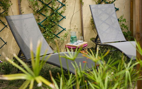 Jardin Secret: Pianta, Comunita 'Impianto, Botanica, Legna, Vegetazione, Erba, Impianto Terrestre, Luce Del Sole, Mattina, Paesaggio
