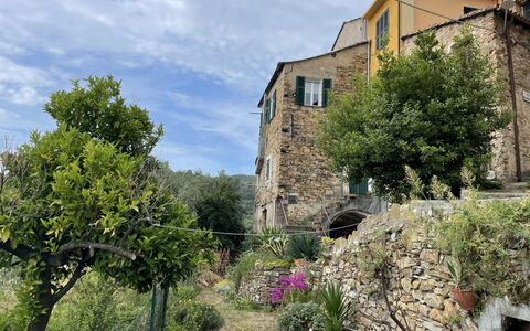Casa Ferrando: Pianta, Cielo, Nube, Costruzione, Finestra, Comunita 'Impianto, Casa, Vegetazione, Lotto, Albero