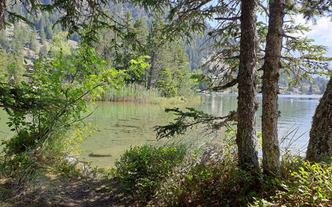 Champex 220: Acqua, Verde, Corpo D'Acqua, Natura, Risorse Idriche, Ambiente Naturale, Paesaggio Naturale, Vegetazione, Estate, Banca