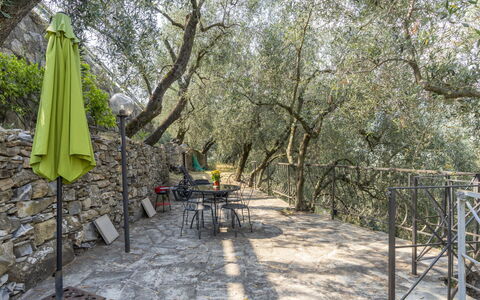 Alloggio:&nbsp;Ulivo 615.2