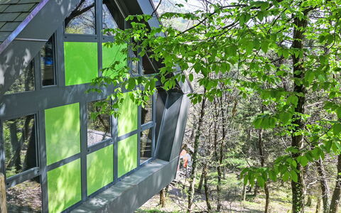 Bosco della Bella 6: Giardino, Woodland, Edifici Giardino, Shade, Giungla, Capannone, Log Cabin, Backyard