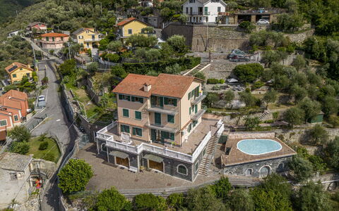 Belvedere, House With Private Pool And Garden, Rec: Costruzione, Proprietà, Albero, Finestra, Casa, Urban Design, Pianta, Zona Residenziale, Paesaggio, Immobiliare