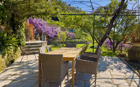 La Casa Dei Glicini - Levanto: Pianta, Proprietà, Cielo, Fiore, Viola, Albero, Manto Stradale, Tavolo Esterno, Vegetazione, Shade