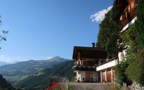 Chalet Bergnest: Fiore, Pianta, Comunita 'Impianto, Cielo, Botanica, Petalo, Natura, Montagna, Paesaggio Naturale, Vegetazione
