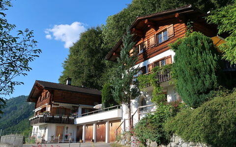 Chalet Bergnest: Fiore, Pianta, Comunita 'Impianto, Cielo, Botanica, Petalo, Natura, Montagna, Paesaggio Naturale, Vegetazione
