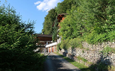 Chalet Bergnest: Fiore, Pianta, Comunita 'Impianto, Cielo, Botanica, Petalo, Natura, Montagna, Paesaggio Naturale, Vegetazione