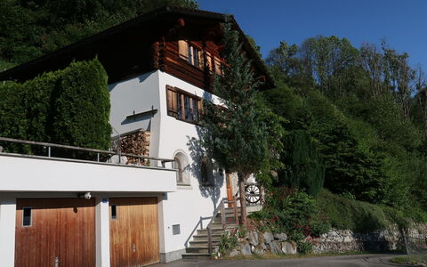 Chalet Bergnest: Fiore, Pianta, Comunita 'Impianto, Cielo, Botanica, Petalo, Natura, Montagna, Paesaggio Naturale, Vegetazione