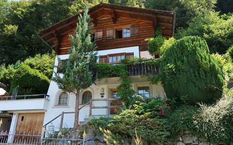 Chalet Bergnest: Fiore, Pianta, Comunita 'Impianto, Cielo, Botanica, Petalo, Natura, Montagna, Paesaggio Naturale, Vegetazione