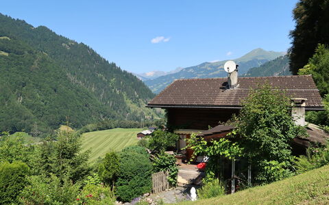 Chalet Bergnest: Fiore, Pianta, Comunita 'Impianto, Cielo, Botanica, Petalo, Natura, Montagna, Paesaggio Naturale, Vegetazione