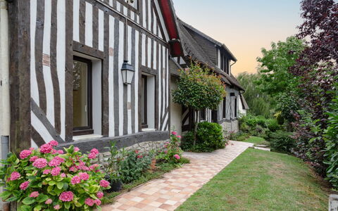 La Normande: Fiore, Pianta, Comunita 'Impianto, Cielo, Botanica, Petalo, Natura, Montagna, Paesaggio Naturale, Vegetazione