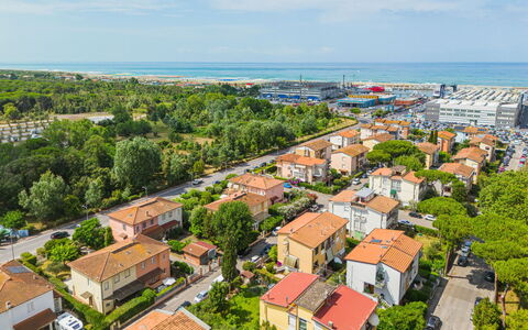 Villa Margherita: Fiore, Pianta, Comunita 'Impianto, Cielo, Botanica, Petalo, Natura, Montagna, Paesaggio Naturale, Vegetazione