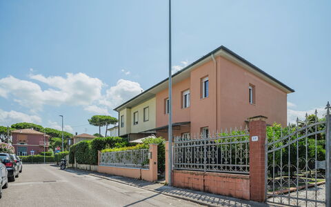 Villa Margherita: Fiore, Pianta, Comunita 'Impianto, Cielo, Botanica, Petalo, Natura, Montagna, Paesaggio Naturale, Vegetazione