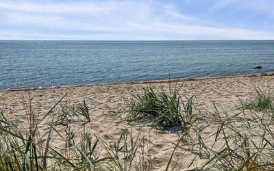 Olla - 400M from the Sea