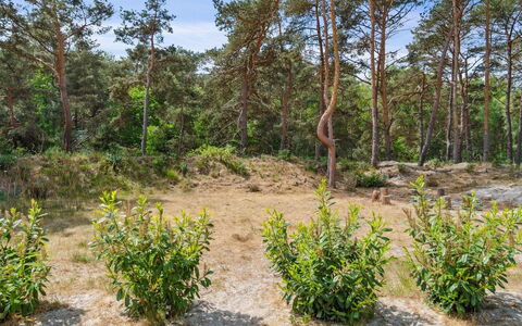 Sjo - 300M from the Sea: Tetto, Casa, Lotto, Casa, Villetta, Estate, Edifici Giardino, Shade, Log Cabin, Landscaping