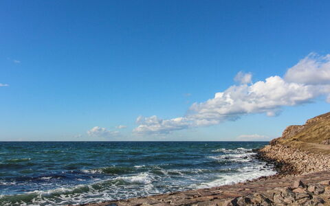 Agga - 500M from the Sea: Estate, Shade, Driveway, Agriturismo
