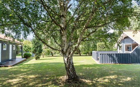 Dorti - 725M from the Sea: Erba, Foglia, Giardino, Shade, Prato, Backyard, Woody Impianto, Cortile, Ramoscello, Landscaping