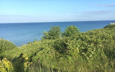 Rikus - 300M from the Sea