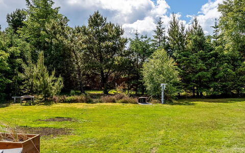 Anelisa - 1.2Km from the Sea: Albero, Erba, Arbusto, Giardino, Lotto, Prato, Prato, Parco, Landscaping, Shade