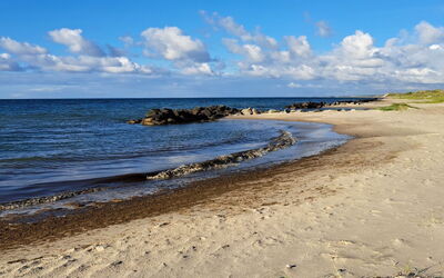 Falk - 900M from the Sea