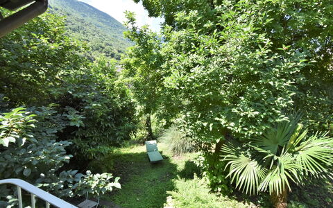La Casa del Nonno: Mobilia, Legna, Interior Design, Architettura, Scaffalature, Sedia, Pavimento, Immobiliare, Fascio, Latifoglie