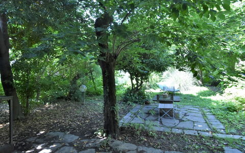 La Casa del Nonno: Mobilia, Legna, Interior Design, Architettura, Scaffalature, Sedia, Pavimento, Immobiliare, Fascio, Latifoglie