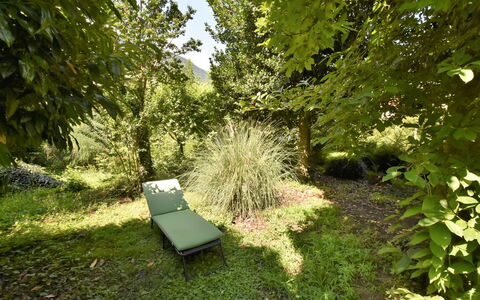 La Casa del Nonno: Mobilia, Legna, Interior Design, Architettura, Scaffalature, Sedia, Pavimento, Immobiliare, Fascio, Latifoglie