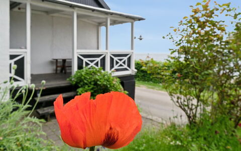 Scarlet - 5M from the Sea: Arbusto, Villetta, Groundcover, Giardino, Portico, Shade, Cortile, Prato, Landscaping, Backyard