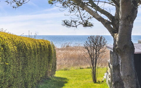 Gisella - 200M from the Sea: Erba, Pascolo, Paesaggio, Ecoregione, Plain, Comunita 'Impianto, Lotto, Mobili Da Esterno, Prateria, Shrubland