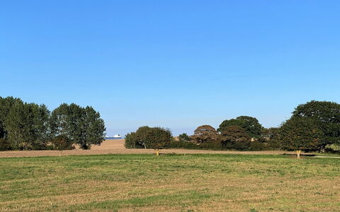 Dana - 525M from the Sea: Cielo, Blu, Giorno, Erba, Verde, Albero, Ambiente Naturale, Pascolo, Natura, Paesaggio Naturale