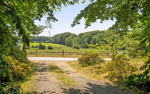 Kennet - 30M from the Sea: Verde, Albero, Foglia, Erba, Natura, Paesaggio Naturale, Vegetazione, Arbusto, Strada