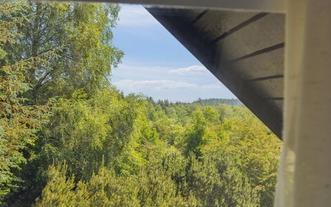 Nadia - 300M to the Fjord: Blu, Arbusto, Villetta, Groundcover, Giardino, Estate, Shade, Landscaping, Agriturismo, Eco Hotel