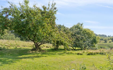 Guthbrand - 800M from the Sea: Erba, Foglia, Ambiente Naturale, Vegetazione, Pascolo, Ramo, Plain, Arbusto, Lotto, Comunita 'Impianto