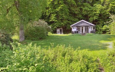 Ginne - 100M to the Fjord