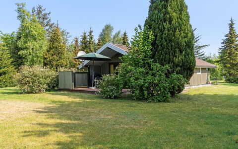 Winter - 500M from the Sea: Erba, Arbusto, Lotto, Giardino, Prato, Casa, Villetta, Shade, Cortile
