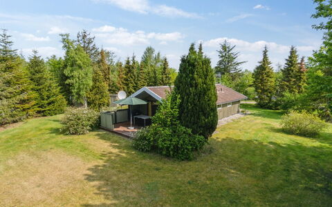 Winter - 500M from the Sea: Erba, Arbusto, Lotto, Villetta, Area Rurale, Plain, Casa, Larice, Giardino, Prato