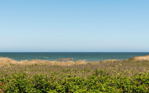 Minka - 58M from the Sea: Blu, Acqua, Verde, Orizzonte, Estate, Mare, Ecoregione, Costa, Pascolo