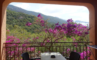 Alloggio:&nbsp;Residence Cabanaccia Studio 35M² 300.5