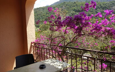 Alloggio:&nbsp;Residence Cabanaccia Studio 35M² 300.5