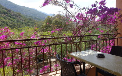 Alloggio:&nbsp;Residence Cabanaccia Studio 35M² 300.5