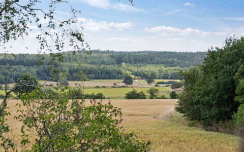 Hansen - 5.2Km from the Sea: Tetto, Casa, Lotto, Casa, Villetta, Estate, Edifici Giardino, Shade, Log Cabin, Landscaping