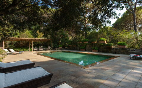 Villa La Pineta: Acqua, Pianta, Proprietà, Piscina, Albero, Mobili Da Esterno, Shade, Erba, Tempo Libero, Immobiliare