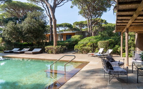 Villa La Pineta: Acqua, Pianta, Piscina, Cielo, Costruzione, Albero, Mobili Da Esterno, Shade, Sedia, Arecales