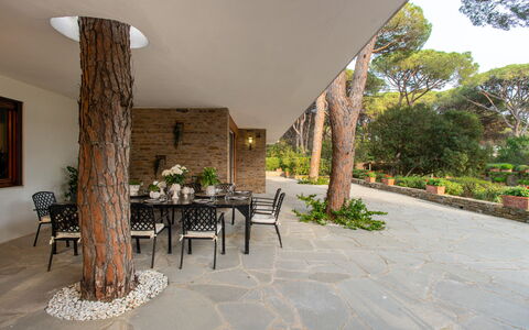 Villa La Pineta: Pianta, Proprietà, Tavolo, Sedia, Illuminazione, Costruzione, Interior Design, Shade, Parete, Albero