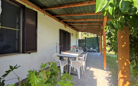 Country House: Pianta, Proprietà, Costruzione, Tavolo, Finestra, Shade, Legna, Botanica, Interior Design, Mobili Da Esterno