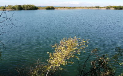 Rina - 250M from the Sea