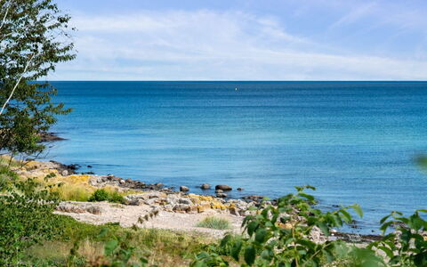 Helin - 100M from the Sea: Vegetazione, Arbusto, Primavera, Villetta, Giardino, Shade, Backyard, Cortile, Sedia