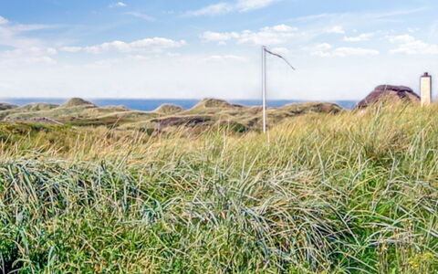 Hoat - 300M from the Sea: Cielo, Blu, Erba, Verde, Vegetazione, Pascolo, Ecoregione, Comunita 'Impianto, Lotto, Shrubland